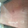 Sell Cheap Commercial Plywood 4x8 made 100% Vietnam