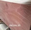 Sell Cheap Commercial Plywood 4x8 made 100% Vietnam