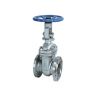 gate valve
