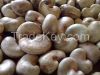 Raw Cashew nut