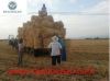 round bundle straw and hay baler, mini baler, forage baler, round baler