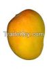 Fresh Indian Alphonso Mangoes