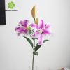 most popular real touch decoration flower artificial lily