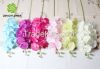 hot sale colorful flower for interior decoration orchid