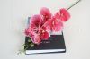 new design real touch artificial flower wholesale phalaenopsis