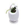 LED flower pot with air purifier function embedded