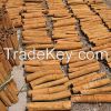Cinnamon/cassia tube/powder/selected/ground