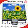 P10 SMD Outdoor Full Color LED Display Screen for Advertising