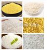 Artificial rice process line