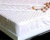 Quilted Mattress Prote...