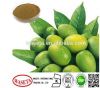 Olive leaf extract / Olea Europaea L./Oleuropein 