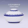 Delicate Blue and White Soup Tureen