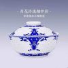 Delicate Blue and White Soup Tureen