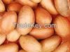 Garcinia kola nut