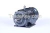 YE2 series (ip55) high efficiency three phase induction motor