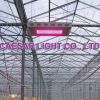 LED Plant Grow Light