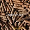 Long Pepper