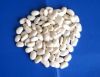 kidney beans
