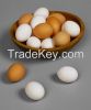 chicken eggs all grede...