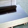 12mm eucalyptus core film faced plywood