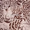 hot stamping foils and...