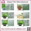 Factory sell different kinds of the colorful glass window film