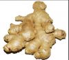 Split Dry Ginger from ...