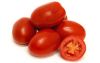 High Quality Fresh Organic Tomatoes