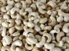 Raw and Processed Cashew Nuts For Sale