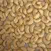  Vietnamese  Cashew Nuts Kernels W320 with high quality