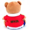 Popular Design Plush Teddy Bear for Children