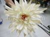 Silk floral factory wholesale real touch flower