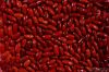 Red / Black / White Kidney bean 2015 crop HPS size:200-220pcs/100g