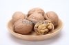 Organic walnut shell