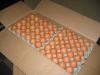 Fresh Table Eggs , Fresh Farm Eggs , Fresh Chicken Table Eggs ,Poultry Table Eggs