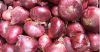 RED ONIONS NASHIK MAHA...