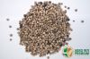 White Pepper