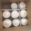 Fresh Young Coconut
