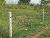 Agriculture Solar Fencing