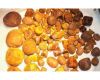  Quality Cow Ox Gallstones for Sale
