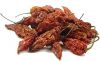 Fresh Dried Red Chilli For Sale With Good Price