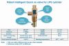 Smart LPG valves