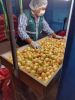 Fresh onions from Peru