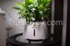 intelligent hydroponic led grow lights at home
