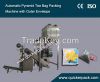 Automatic Pyramid Nylon Bag Packing Machine with Outer Envelope