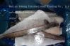 FROZEN HADDOCK FILLET