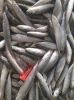 Pacific Mackerel Whole...