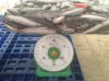 Pacific Mackerel Whole...