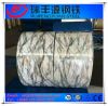 Color Coated Galvanized Steel Sheet in Coil/Ppgi from China