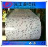 Color Coated Galvanized Steel Sheet in Coil/Ppgi from China